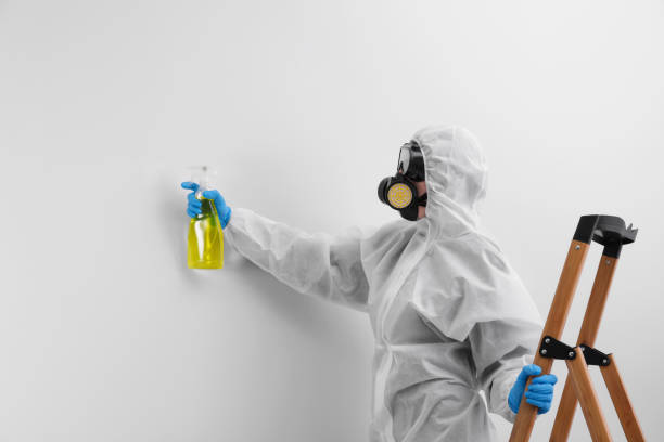 Best Comprehensive Air Testing for Mold Contaminants  in Lamar, SC